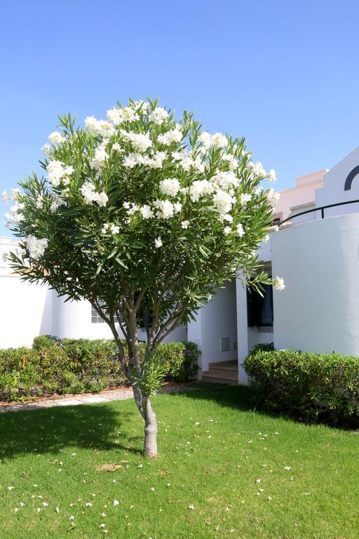 Cabana Da Ria Cabanas De Tavira Exteriör bild
